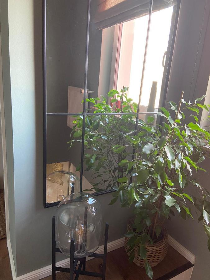 Apartament Hafenkoje Zum Anker Wolgast Zewnętrze zdjęcie